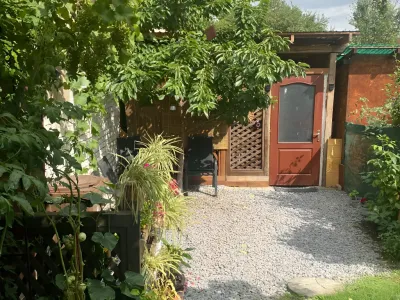 gradina cu carare pietris la casa de vanzare Târgu Mureș Mureș